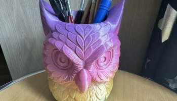 Hootie the Brush Guardian