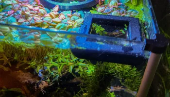 Кольца для кормушки для аквариума