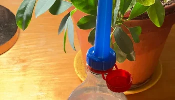 Поливочная насадка, удлиненная, режим вазы.... 1