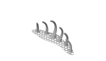 Rib Cage 4