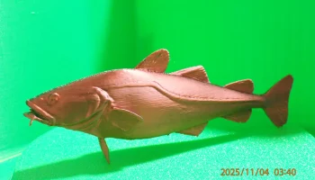 Тихоокеанская треска (Gadus macrocephalus)... 1