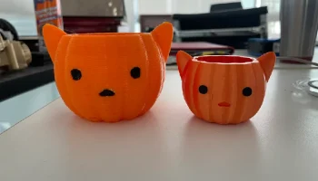 Контейнер для тыквы-кошки