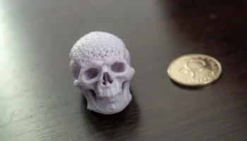 Сетчатый череп Сетчатый череп