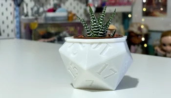 d20 Горшок с растением