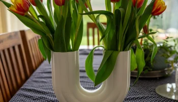 Pipe vase 1