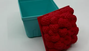 Berry Box 2