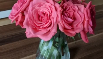 Soft Vase