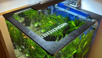 Защита от рыбных прыжков для Dennerle NanoCube 60 (60 л).... 2