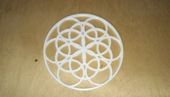 Circled coasters 1