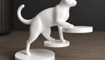 балансирующий кот