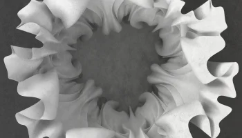 FLUID VASE 5