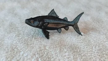 Carpa Fish 3