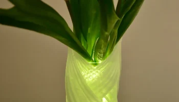 Eva Vase 2