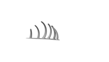 Rib Cage 2