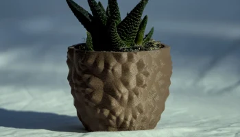 Lasse pot