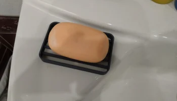 Soap dish 2