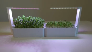 Smart Sprouts/зеленая система выращивания в помещении 3