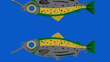 Рыболовный крючок Коэса 1
