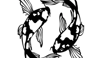 koi fish koi fish