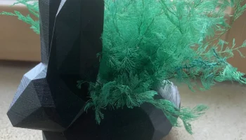 Кролик Ваза 1