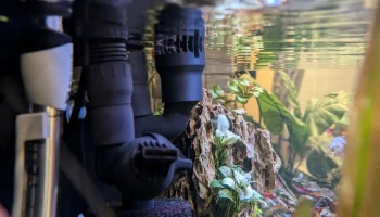 Fluval FX4 FX6 Скиммерный заборник 1
