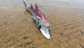 Barracuda 1