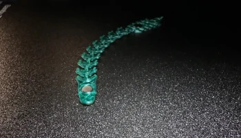 FlexiFidget Dragon Remix от Plaground3d - с опцией Magnet... 6