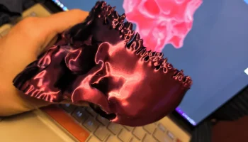 Серия "Король черепа" нежити _ Skull-Bowl -3D Модель 6