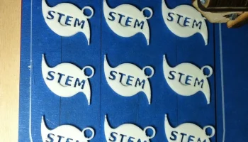 Знаки за заслуги в области STEM 4