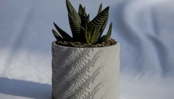 Arne pot