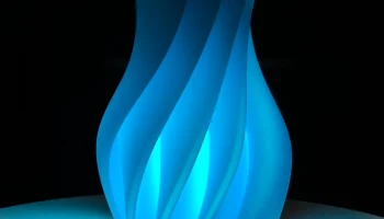 MAXIS VASE 4