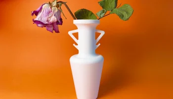 Upset Vase
