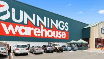 G923(G920,G29) Колпак колеса Bunnings Logitech