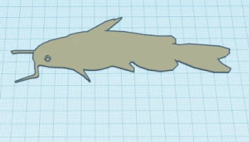 Catfish