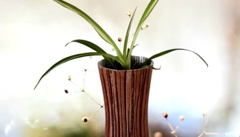 Stump Vase