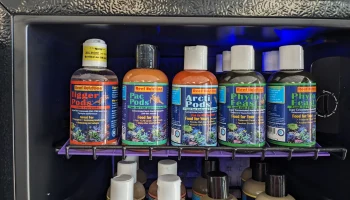 Reef Nutrition, лоток на 6 унций 1