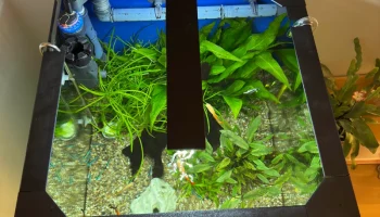 Защита от рыбных прыжков для Dennerle NanoCube 60 (60 л)....
