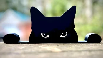 Выглядывающий кот (силуэт)