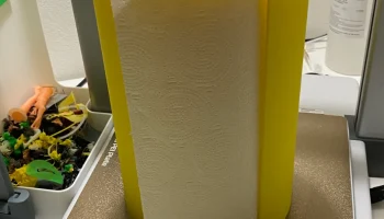 Чехол для бумажных кухонных полотенец закрыт (из-за кота)