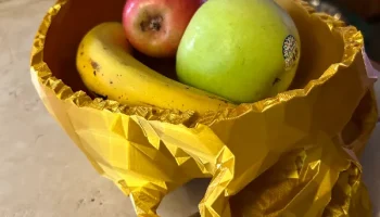 Полунизкополигональная чаша с черепом 1