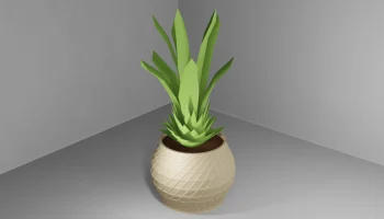 Pot Pot