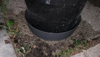 Таз для воды в горшке 1