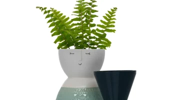 VASE LINER