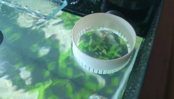 Кормушка для аквариума