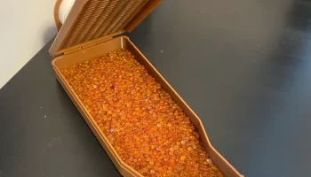 Сухой ящик с осушителем для большого контейнера для зерно... 2