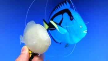 Распечатайте эту рыбу: задача 3D-печати...