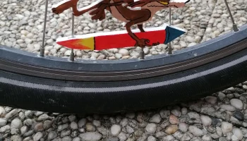 Койот