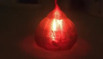 Ваза-Mode Punkin 2