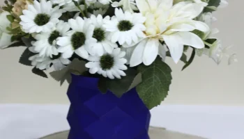 Ваза Лоуполи
