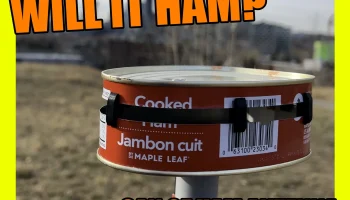 Hamtenna